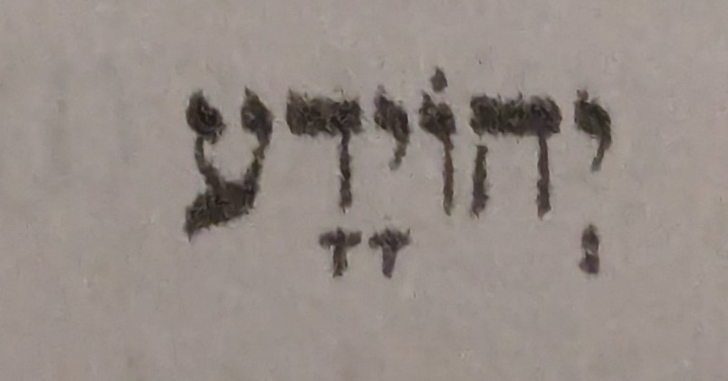 term image