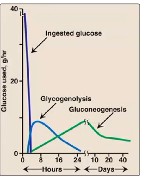 <p>16 hours</p><p>1 day</p>