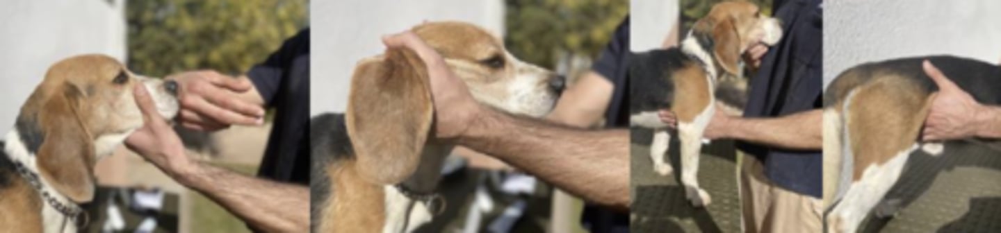 <p>what is happening here ?</p>