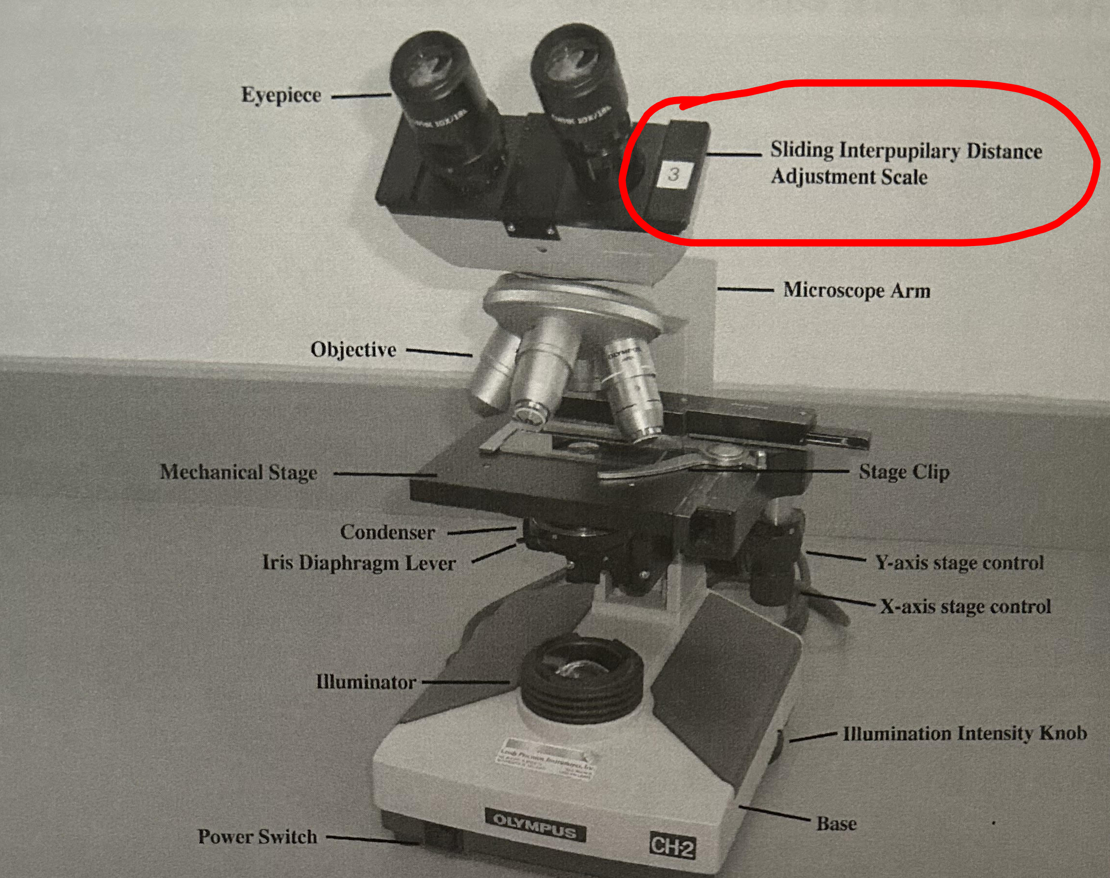 <p>Sliding interpupillary distance adjustment scale</p>