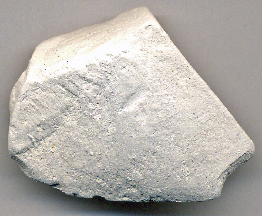 <p>Identify the sedimentary rock</p>