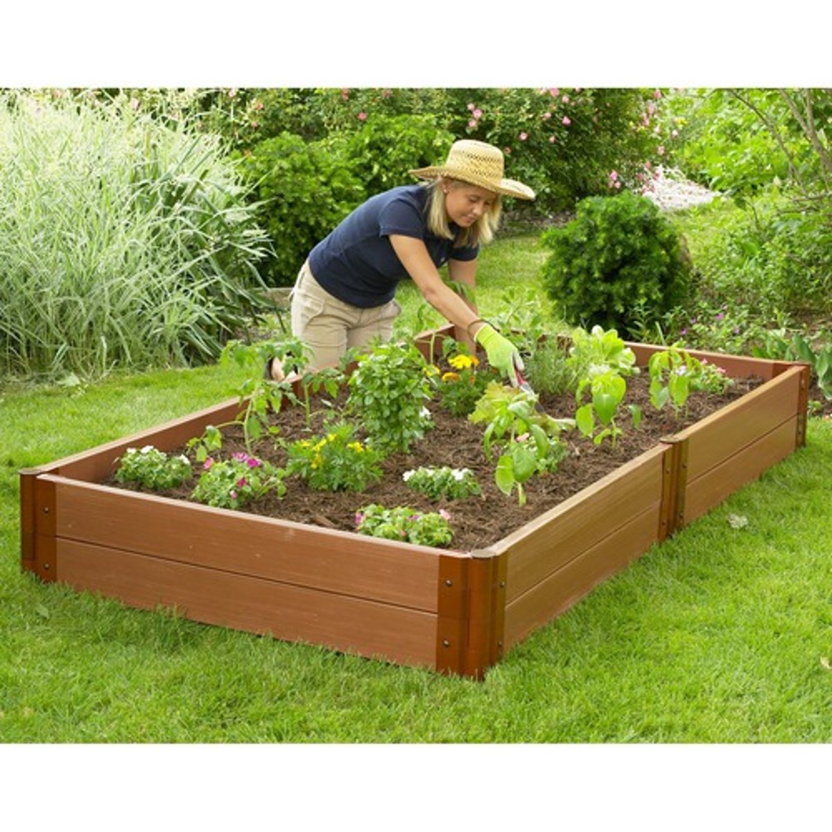 <p>plants</p>