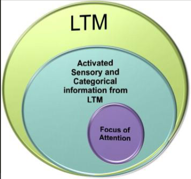 <ul><li><p>Lange termijn geheugen dat inactief is, maar afhankelijk van de taak actief kan worden</p></li><li><p>Tijdelijk geactiveerde informatie uit LTG dat nog niet bewust beschikbaar is</p></li><li><p>Een subset van tijdelijk geactiveerde informatie waar aandacht op gericht is en die bewust beschikbaar is</p></li></ul><p></p>