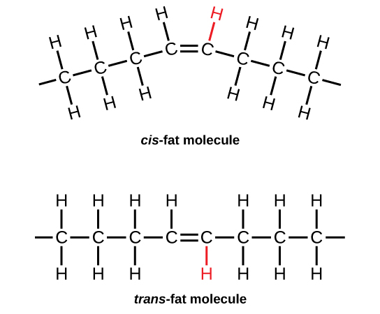 orientation of the double bonds affects the chemical properties of the fat.s a type of unsaturated fat that occurs in foods. Trace concentrations of trans fats occur naturally, but large amounts are found in some processed food