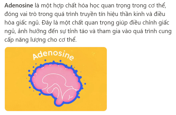 <p>a chemical that builds up in the brain to promote sleepiness</p>