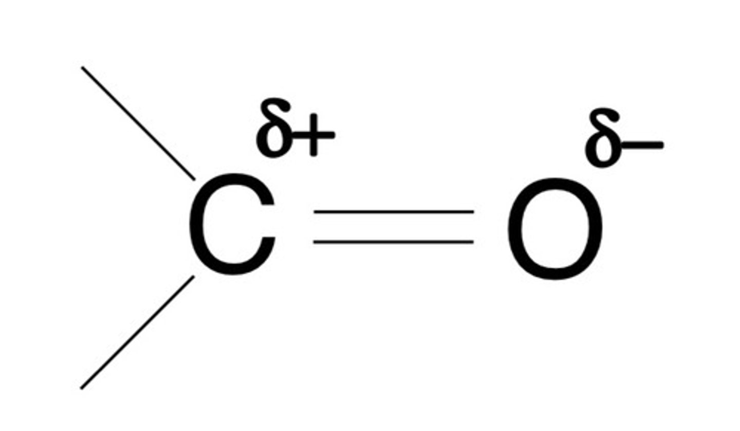 <p>- compounds with a C=O bond</p><p>- unsaturated polar bonds</p>
