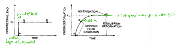<p>creep elongates progressively overtime, compressive load goes from 0-100 BAM </p>