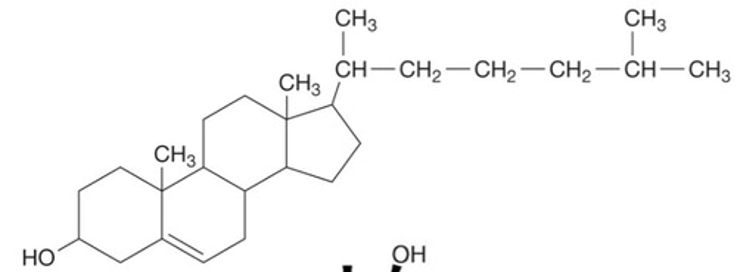 <p>A lipid that forms an essential component of animal cell membranes and acts as a precursor molecule for the synthesis of other biologically important steroids.</p>