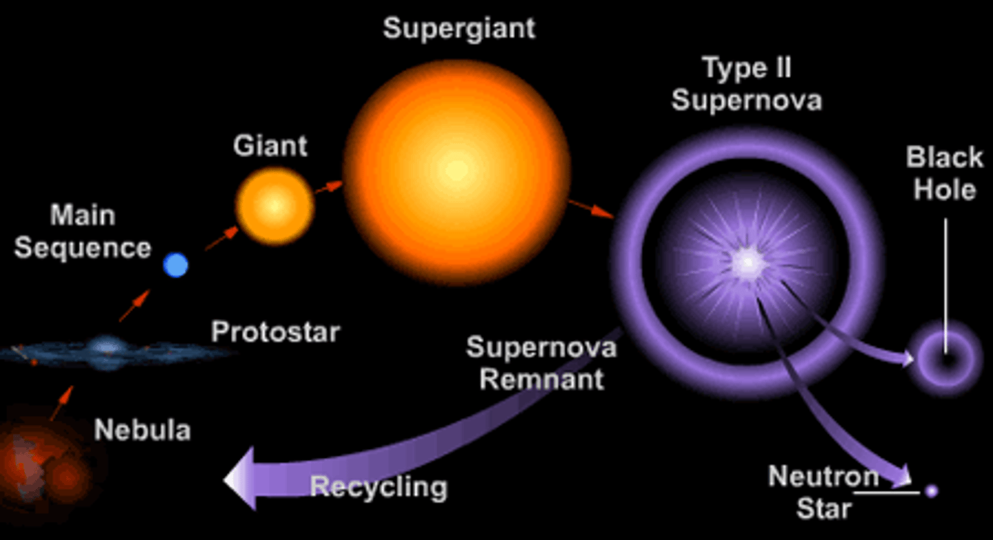 <p>nebula --&gt; protostar ---&gt; main sequence ---&gt; red supergiant ----&gt; supernova ---&gt; black hole ---&gt; neutron star</p>