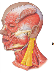 <p>What is this - </p>