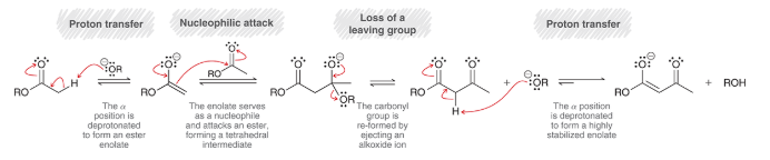 <p>proton transfer (deprotonation)</p><p>nucleophilic attack (enolate is nucleophile, attacks ester)</p><p>loss of leaving group (alkoxide ion gets ejected)</p><p>proton transfer (protonation of alpha position)</p>