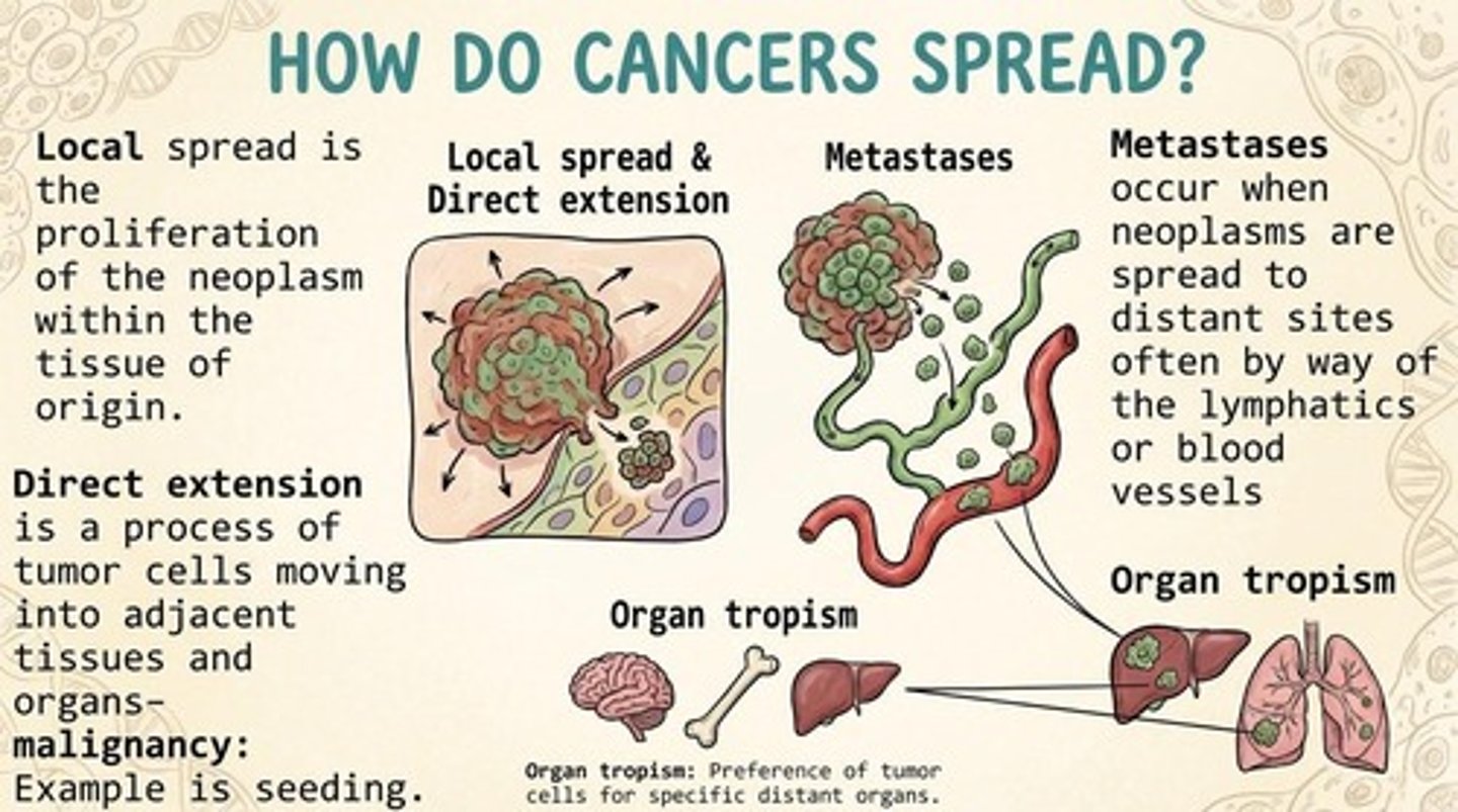 <p>By gaining access to the blood vessels or the lymphatic system.</p>