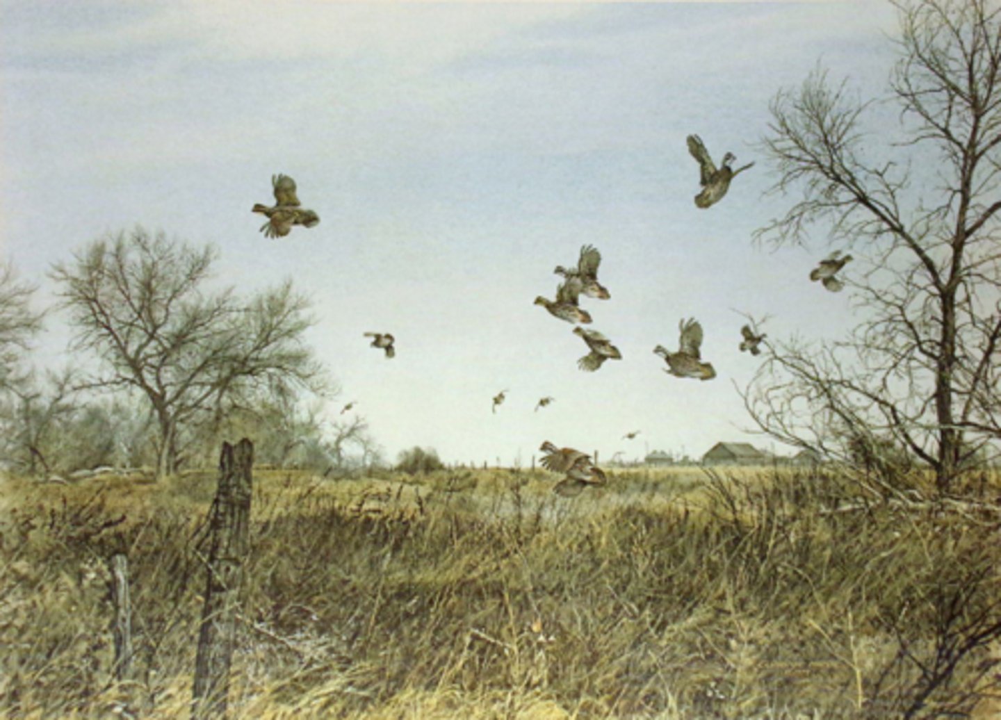 <p>Greater than or equal to 4 flushes per hour.</p>