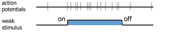 <p>-</p>