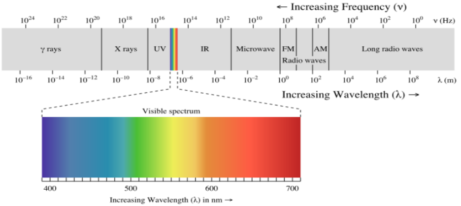 <ul><li><p>energy for photosynthesis, comes from light</p></li><li><p>travels in wavelengths</p></li><li><p>visible light spectrum is important for photosynthesis</p></li><li><p>shorter wavelengths = higher energry</p><ul><li><p>specific pignments absorb light more efficiently within certain wavelengths</p></li></ul></li></ul><p></p>