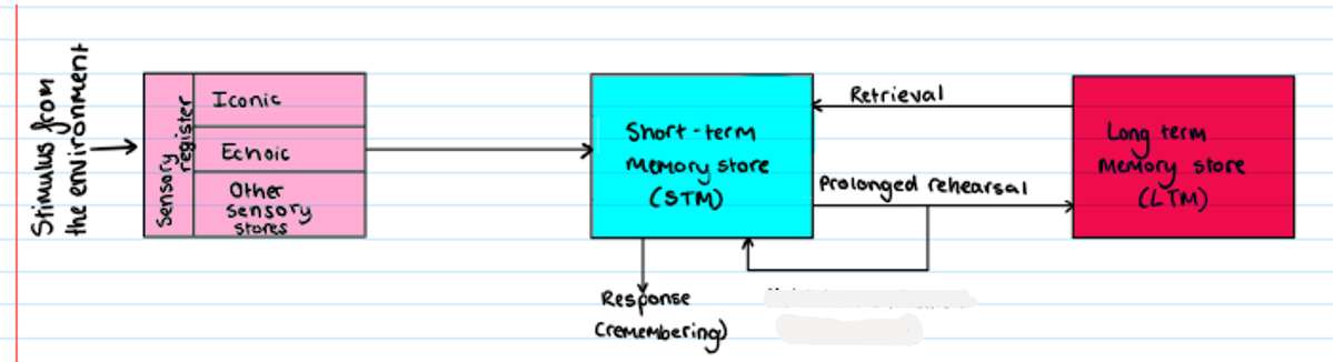 <p><strong>Multi Store Model</strong></p><p>What is missing?</p>