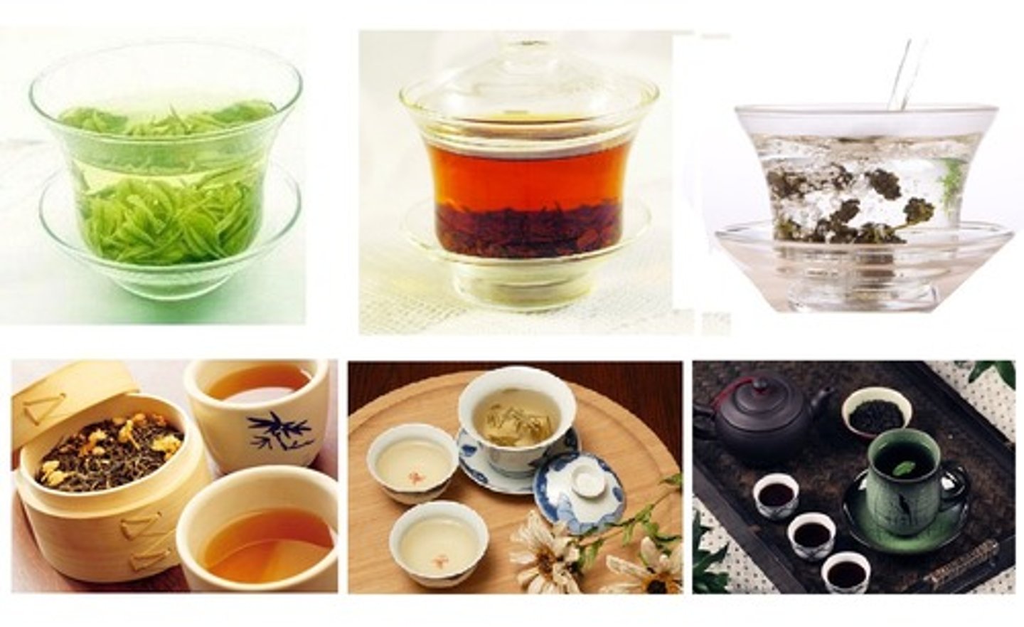 <p>zhǒnglèifánduō: a great variety</p>