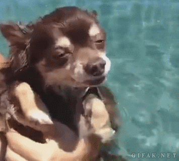 swim