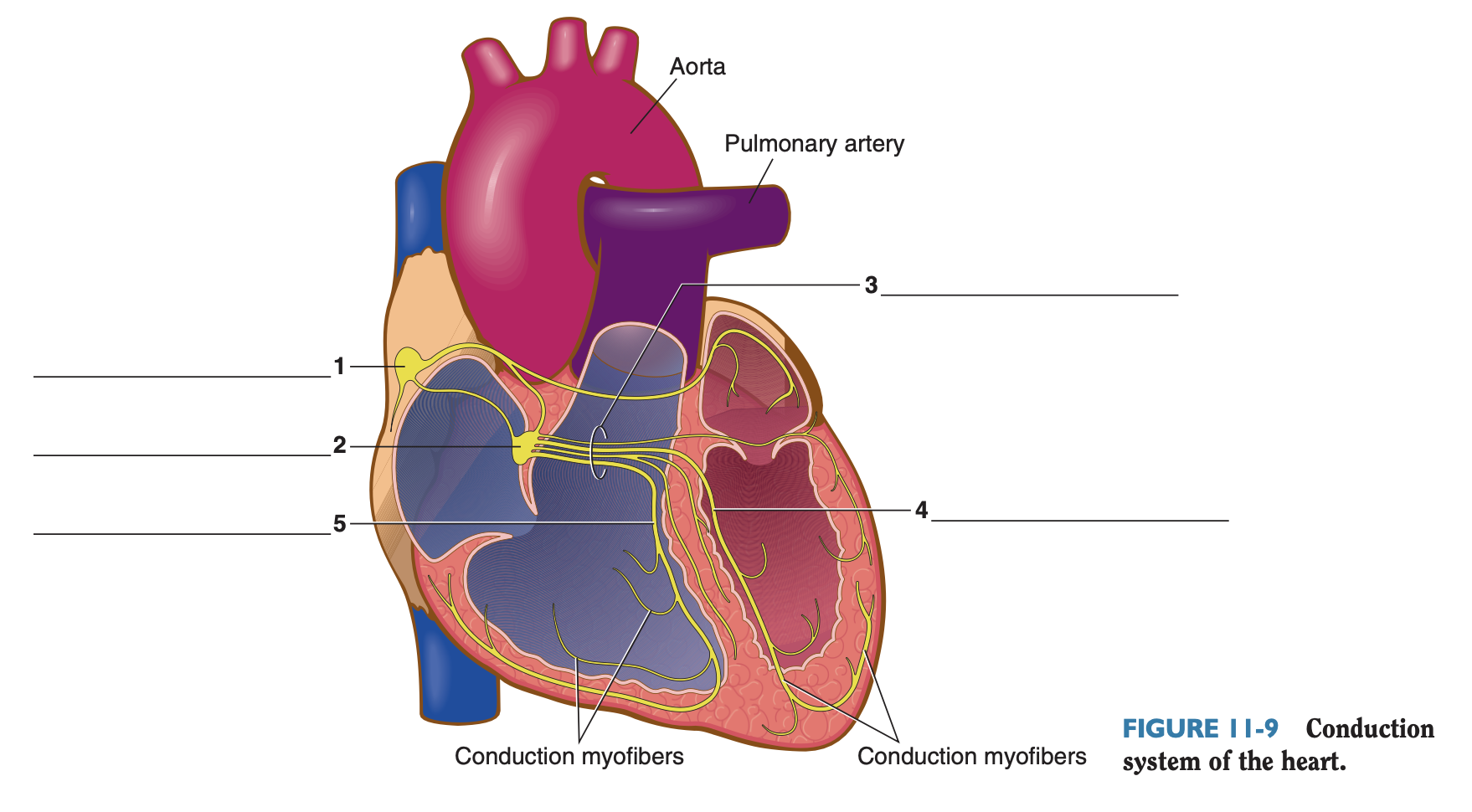 <p>2</p>