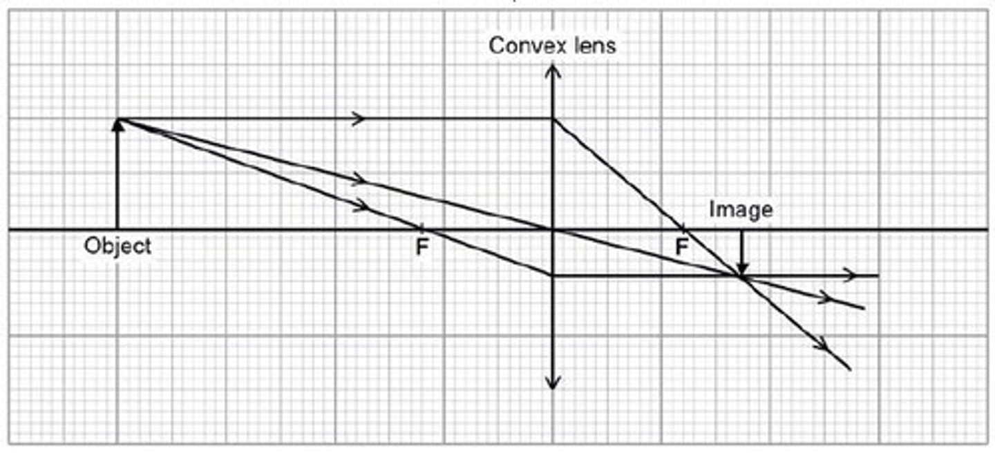 <p>1. Draw principle axis and a lens and an arrow to represent the object</p><p>2. Mark the principle focuses</p><p>3. First ray goes from object to lens then down through the principle focus on the right side</p><p>4. second ray goes from top of object through principle focus</p><p>5. Draw image where lines meet</p>