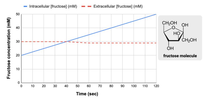 <p><span>True or false? The change in the intracellular concentration of fructose was most likely caused by active transport.</span></p>
