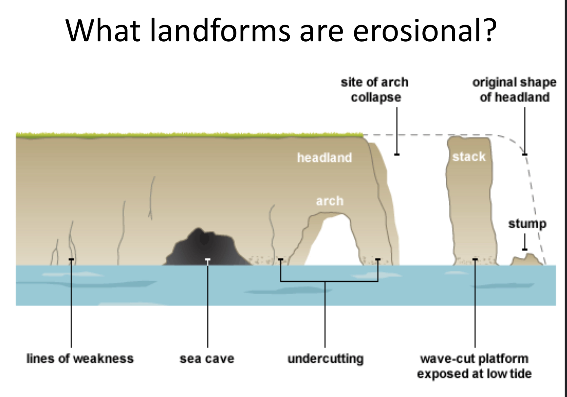 <p>Cave, headland , arch, stack and stump</p>