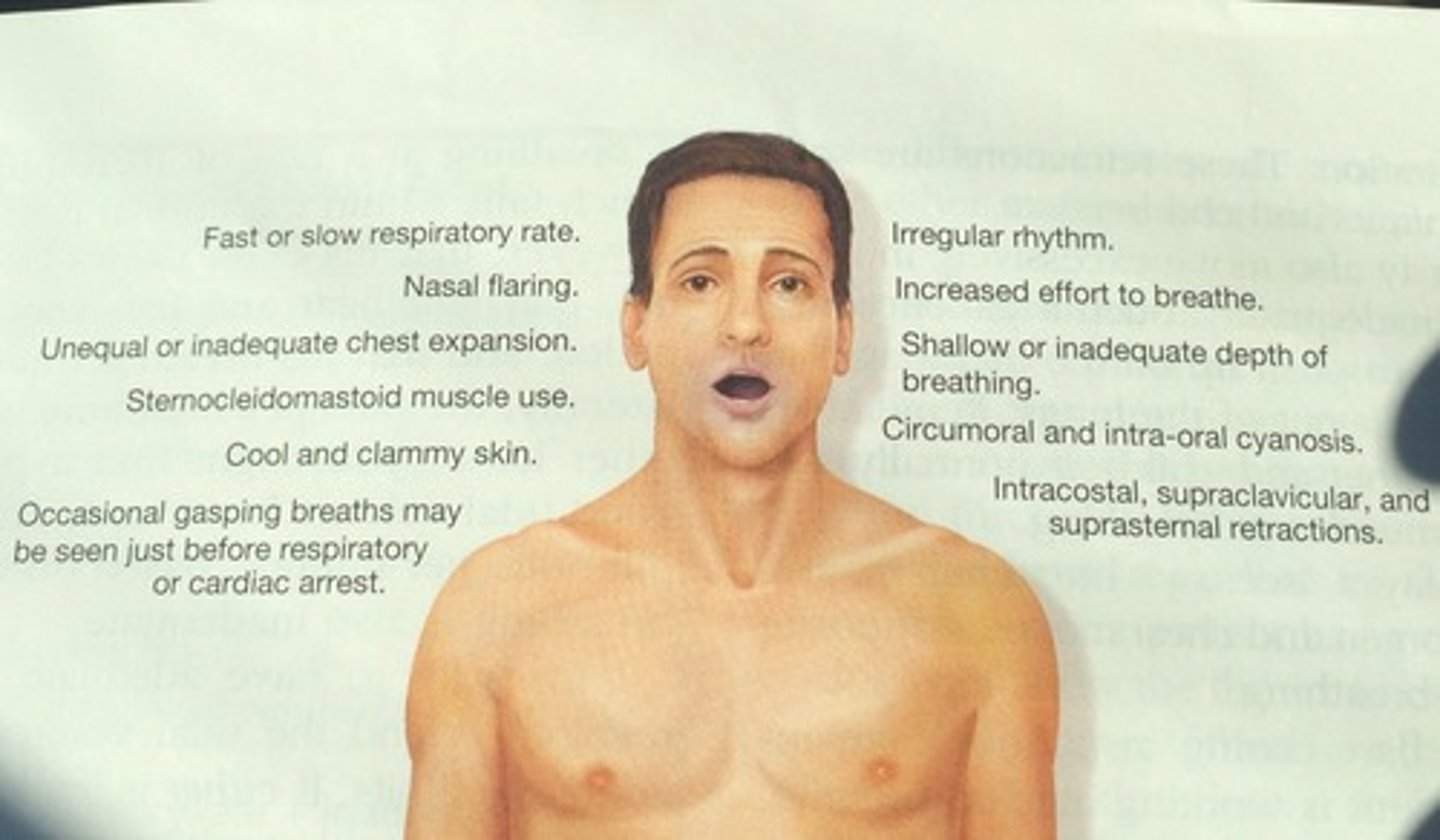 <p>breathing effort; increased use of accessory muscles especially in infants and children; cyanotic skin, cool, clammy; agonal respirations</p>