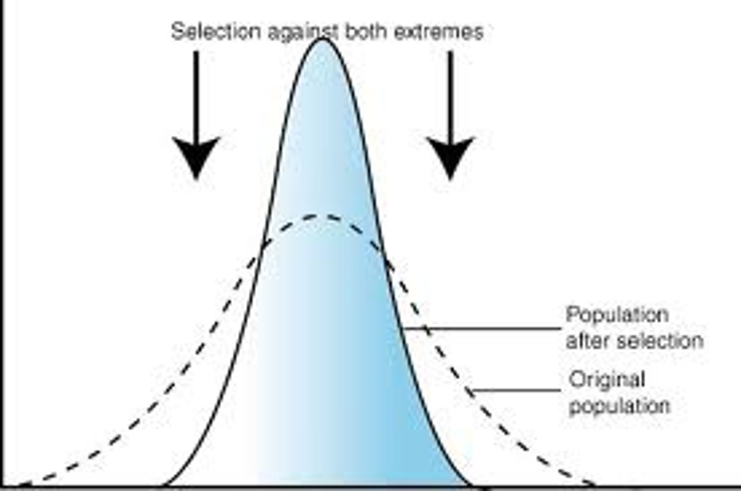 <p>when extreme phenotypes on both ends of the spectrum are unfavorable</p>
