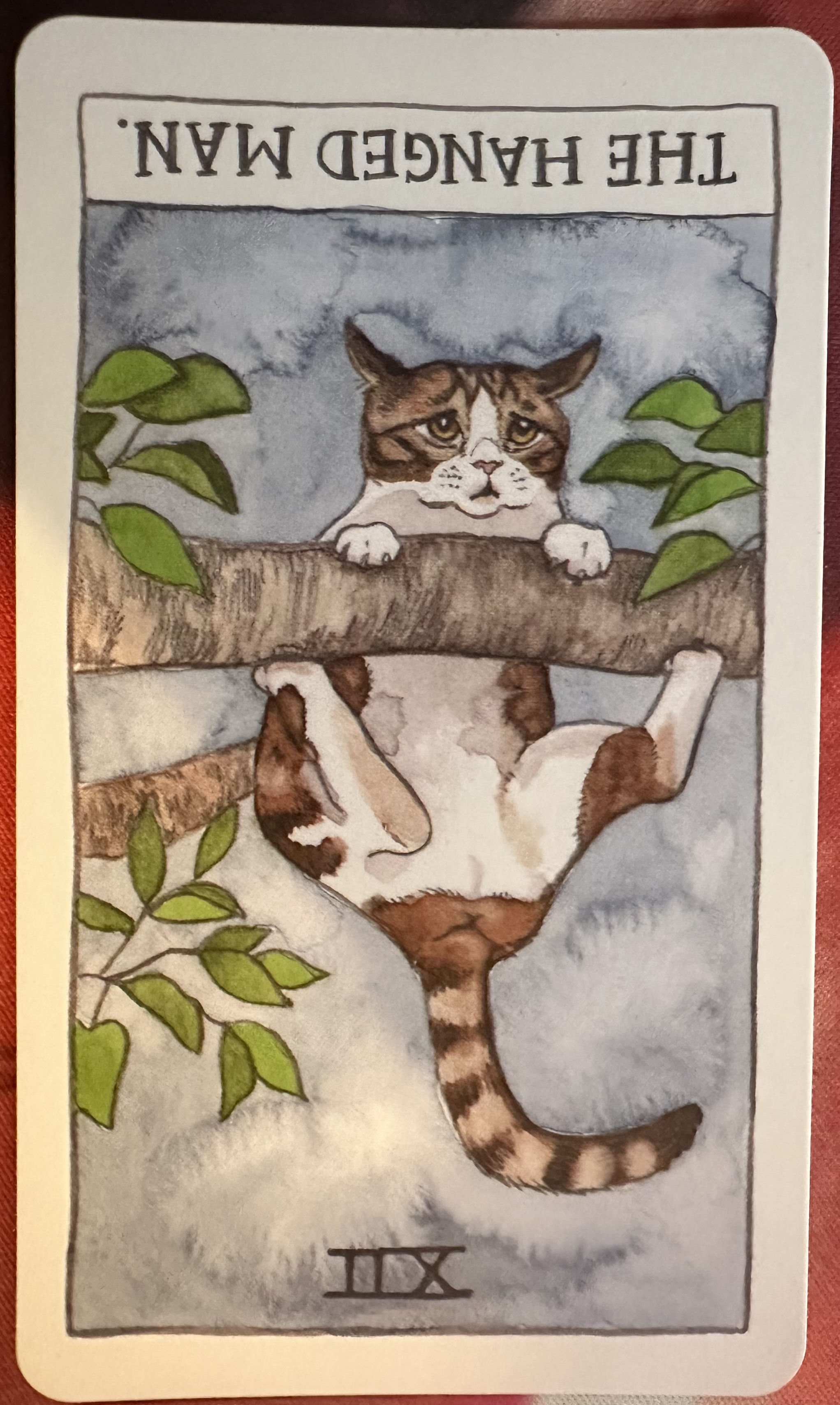 <p>The Hanged Man (XII) Reversed</p>
