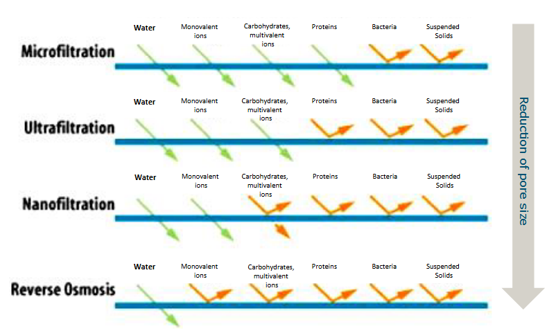 <p>From largest to smallest pores:</p><ul><li><p>Microfiltration</p></li><li><p>Ultrafiltration</p></li><li><p>nanofiltration</p></li><li><p>Reverse Osmosis</p></li></ul><p></p><ul><li><p><strong>W</strong> – Wise</p></li><li><p><strong>M</strong> – Monkeys</p></li><li><p><strong>C</strong> – Can</p></li><li><p><strong>P</strong> – Paint</p></li><li><p><strong>B</strong> – Beautiful</p></li><li><p><strong>S</strong> – Scenes</p></li></ul><p></p>