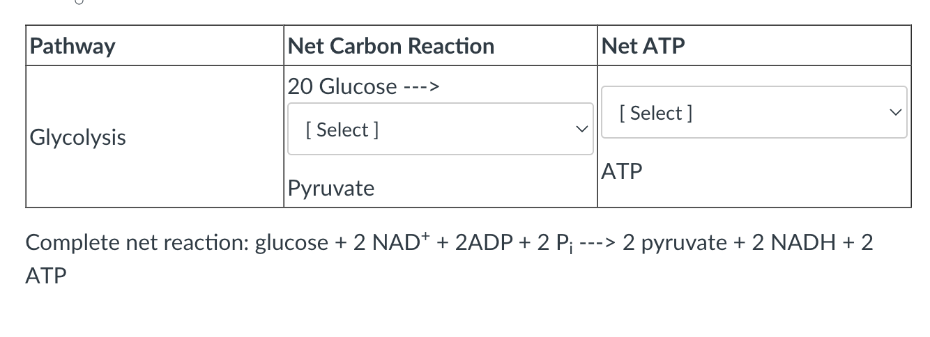 <ul><li><p>Select the answers below as they pertain to the indicated pathway.</p></li><li><p>Note: for the NET ATP yield include any and all ATP equivalents generated in a particular pathway (i.e. ATP, GTP). This should include the oxidation of reducing equivalents that may be generated in the pathway.</p><ul><li><p>Assume that NADH=2.5 ATP and FADH<sub>2</sub>=1.5 ATP</p></li><li><p>Assume the carbon reactants are each going through the pathway once.&nbsp;</p></li></ul></li></ul><p></p>