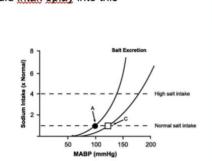 <ol><li><p><span style="background-color: transparent;"><span>Diagnosis by exclusion</span></span></p></li><li><p><span style="background-color: transparent;"><span>Increased sodium and fluid retention is a primary factor</span></span></p></li><li><p><span style="background-color: transparent;"><span>Vascular changes = can contribute to hypertensive states&nbsp;</span></span></p><ol><li><p><span style="background-color: transparent;"><span>Especially with renal disfunction</span></span></p></li></ol></li><li><p><span style="background-color: transparent;"><span>Related to heredity, age, race, and ses</span></span></p></li><li><p><span style="background-color: transparent;"><span>Some patients are more strongly influenced by stressful conditions than are normotensive individuals</span></span></p></li></ol><p></p>