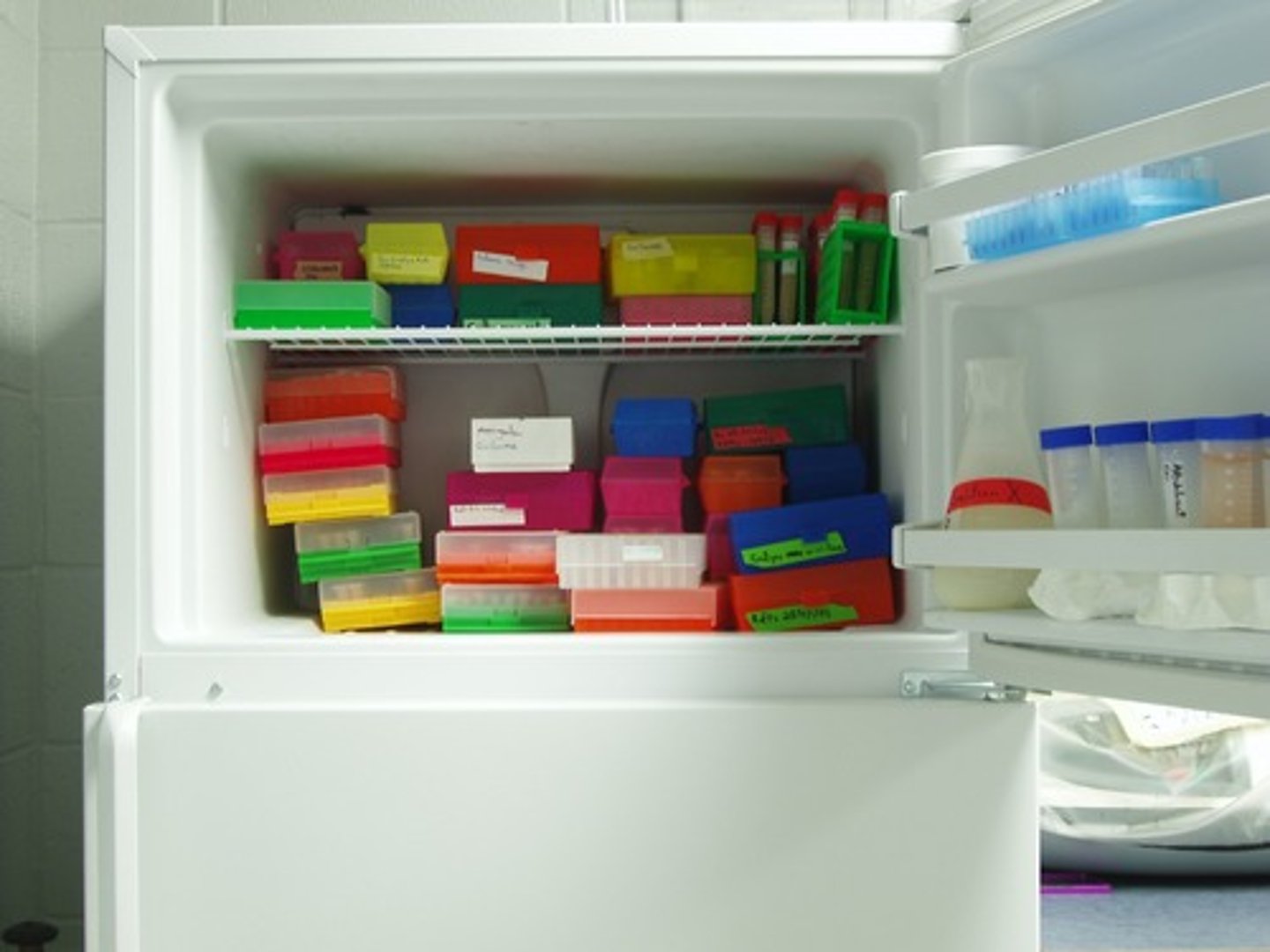 <p>freezer</p>