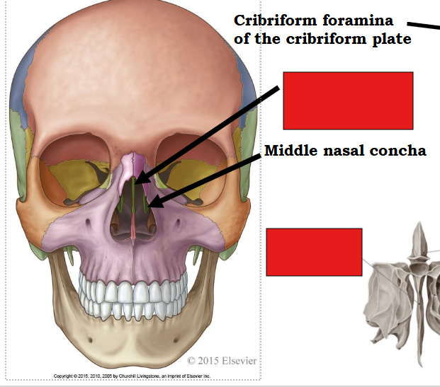 <p>fill in the red box:</p>