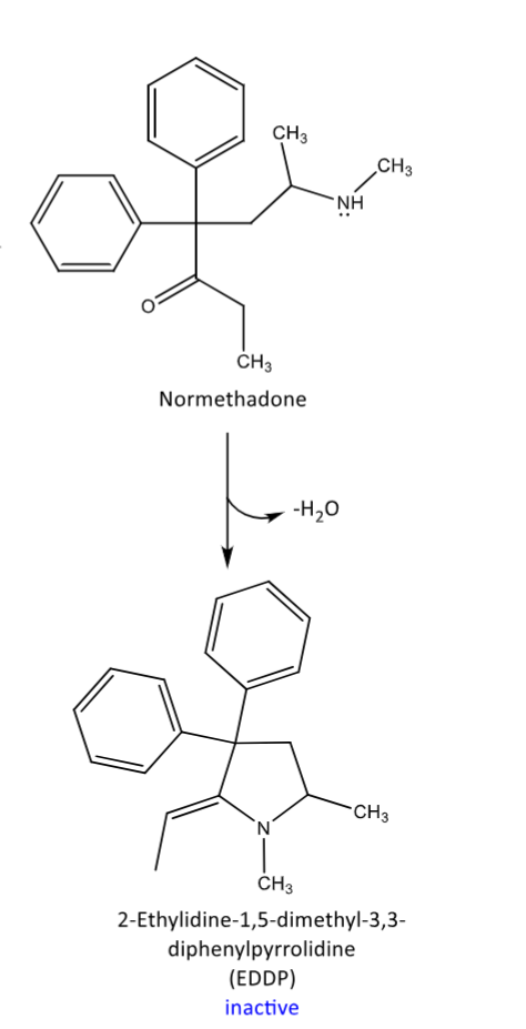 <p>N-demethylation to Normethadone</p><p>then intramolecular ring formation occurs</p><p>inactive metabolite = end product</p>