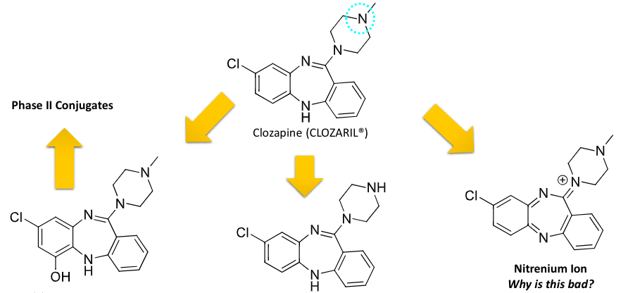 <ul><li><p>benzazepine class antipsychotics</p></li><li><p>bioactivation created toxic metabolite</p></li><li><p>catalyzed by peroxidases in neutrophils</p></li><li><p>reactive metabolite responsible for covalent binding in neutrophils</p></li><li><p>agranulocytosis occurs in 1-2% of patients from neutrophil toxicity</p></li></ul><p></p>