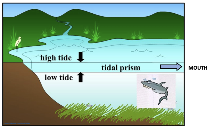  Tidal prism= the volume of water exchanged over a tidal cycle

Ebb-tidal prism= tidal prism and outgoing river flow

      