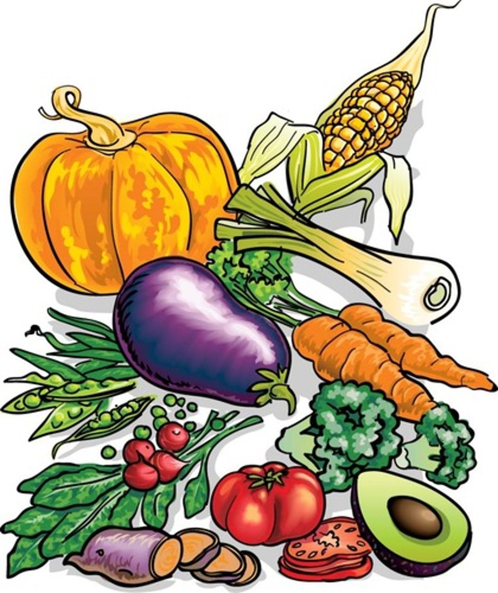 <p>vegetarian</p>