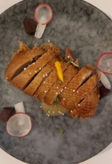 <p>Orange Duck</p>