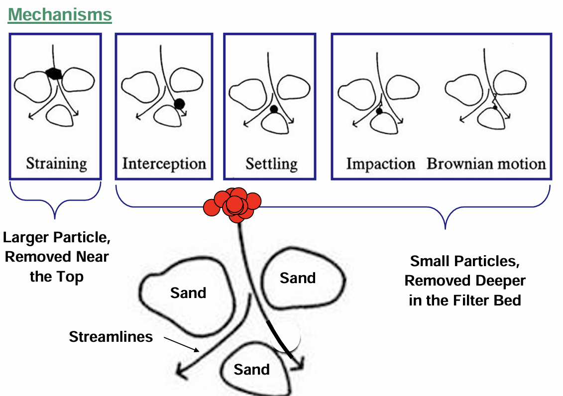<ol><li><p>straining</p></li><li><p>interception: particle has affinity to surface</p></li><li><p>settling</p></li><li><p>impaction/brownian motion</p></li></ol><p></p>