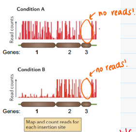<p>How can you interpret the function of genes 1, 2, and 3 based on the number of reads?</p>