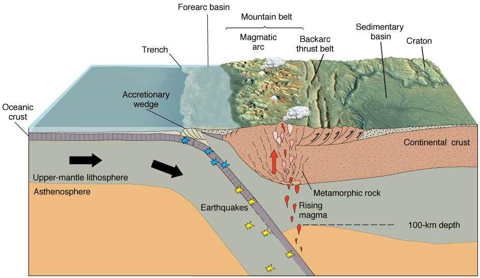 <ul><li><p>Seismically active subduction zones</p></li><li><p>EQs closest to plate boundary will be shallow</p></li><li><p>Deeper EQs as you move towards overriding plate</p></li></ul><p>&nbsp;</p>