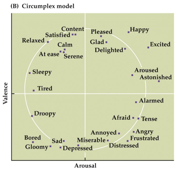 <p>2 dimensional theories of emotion: Vector &amp; Circumplex Models</p>