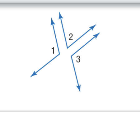 <p>Angles supplementary to the same angle or to congruent angles are congruent.  EX. If m∠1 +  m∠2 = 180 and  m∠2 +  m∠3 = 180 then  ∠1 <span>≅ </span>∠3</p>