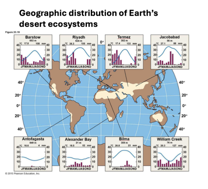 <p>very low precipitation, can be hot (Sahara) or cold (Gobi); high evaporation rates → extremely dry conditions</p>