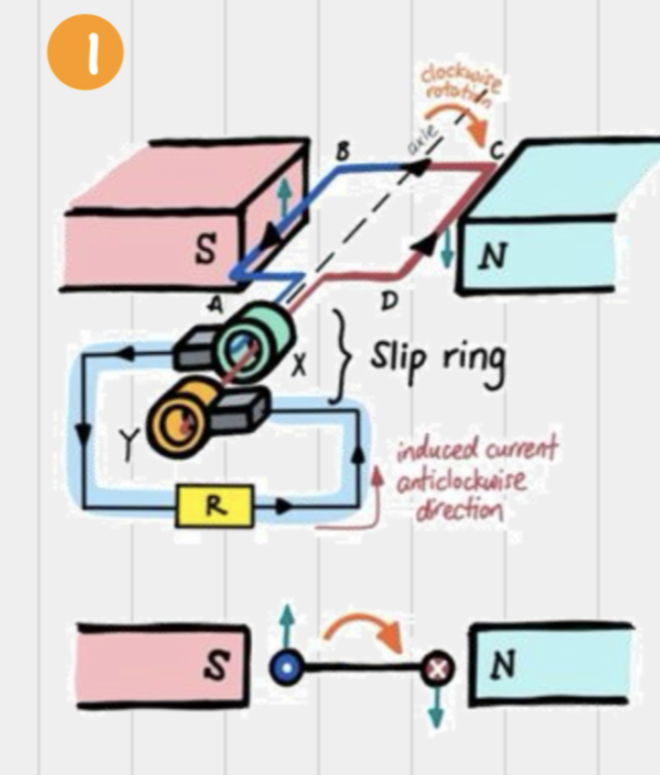 <p>What happens in an AC generator when the coil is rotated clockwise?</p>