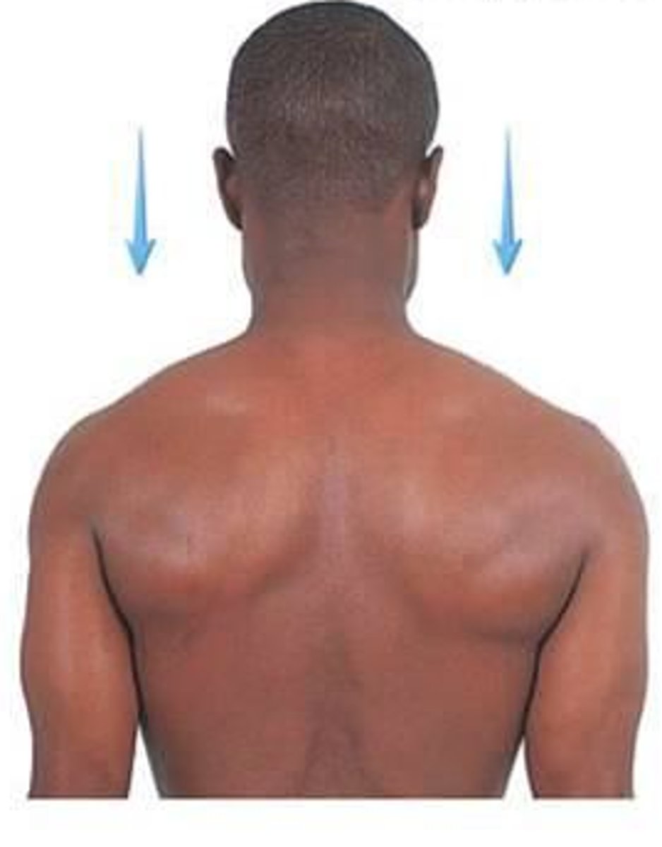 <p>A downward movement, as in dropping the shoulders.</p>