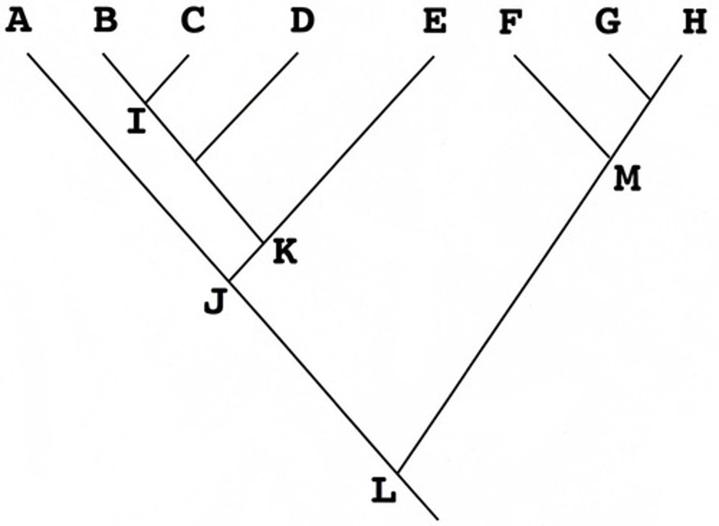 <p>Based on the phylogenetic tree above, which of the following groups is paraphyletic</p>