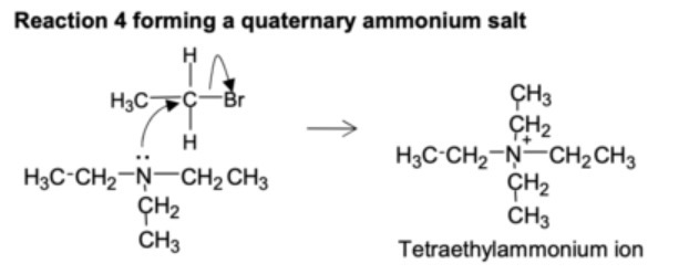 <p>tertiary amine + halogenoalkane -&gt; quaternary ammonium cation + halide anion</p>