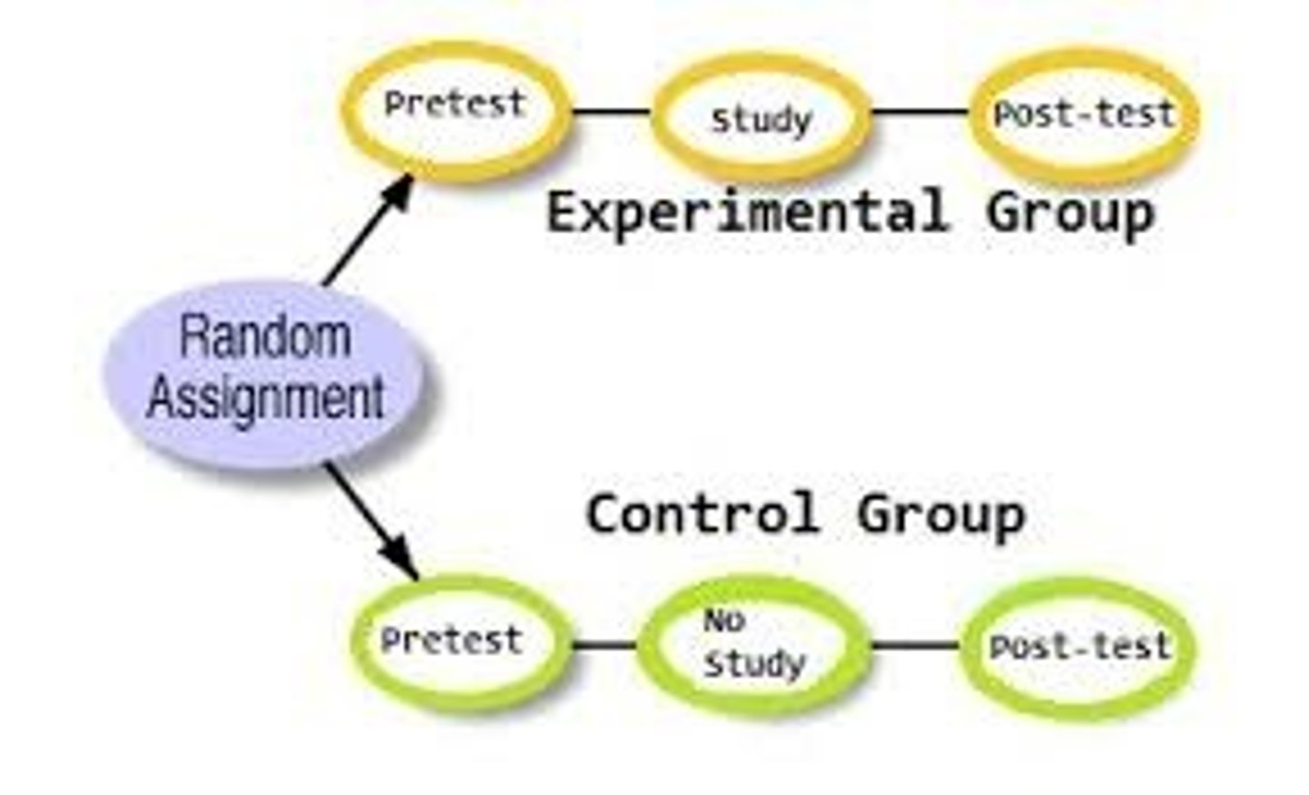 <p>the random, unbiased assignment of subjects in a research sample to the various experimental &amp; control conditions</p>